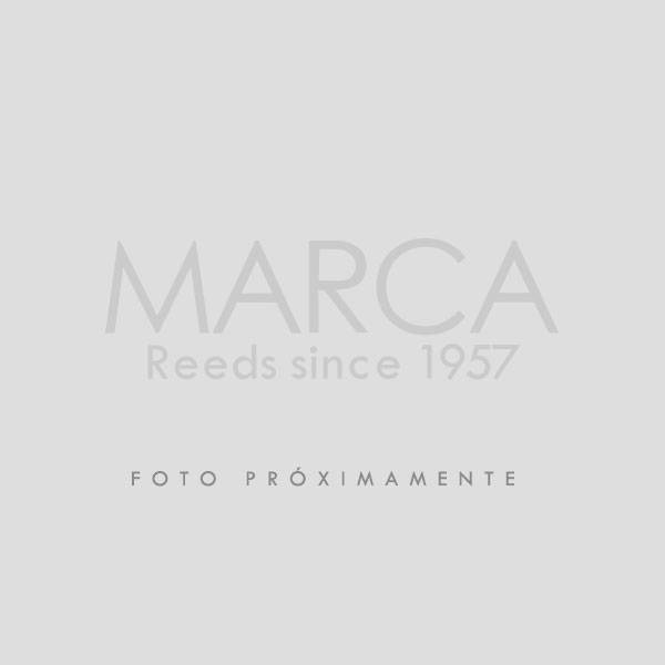 CAAS MARCA CLARINETE AMERICAN VINTAGE N 2.5x5