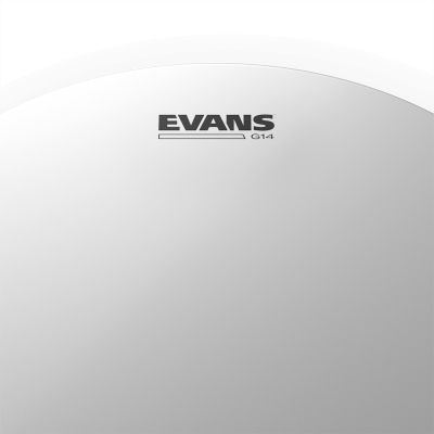 PARCHE EVANS 12