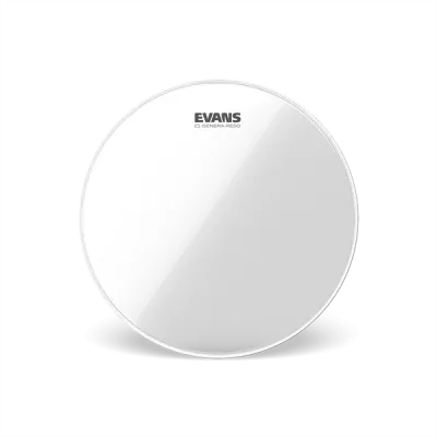 PARCHE EVANS 6
