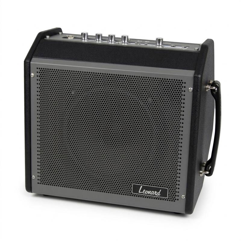 AMPLIFICADOR LEONARD PARA BATERIA-TECLADO-VOZ-30W-MODO GRABACION-BLUETOOTH